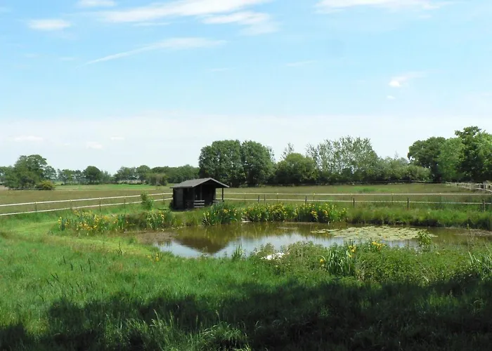 Apartamento Wiesenblick *